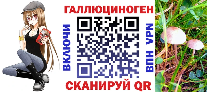 дарнет шоп  Апшеронск  Псилоцибиновые грибы мицелий 